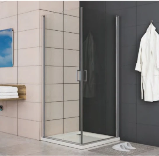 Porte de douche de 48 pouces